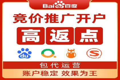 竞价广告策略案例分析